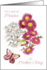 Happy Mother’s Day Mentor Butterfly Aster Flowers card