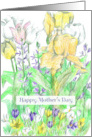 Happy Mother’s Day Iris Tulips Crocus Spring Flowers card