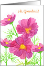 Hi Grandma Thinking Of You Pink Cosmos Flowers card