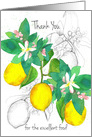 Thank You For The Excellent Food Wedding Caterer Lemons card