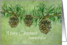 Merry Christmas From Both of Us Evergreen Tree Pinecones Art card