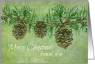 Merry Christmas From All of Us Pinecones card