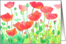 Red Poppies Watercolor Flower Spatter Spots Blank card