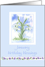 January Birthday Blessings White Snowdrops Flower card