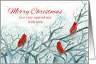 Merry Christmas Son Cardinal Birds card