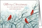 Merry Christmas Brother and Sister in Law Cardinal Birds Trees card