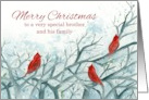 Merry Christmas Brother and Family Cardinal Birds Winter Trees card