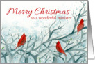 Merry Christmas Minister Cardinal Birds Winter Trees card