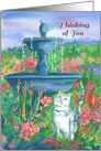 Thinking of You Friend Flower Garden Cat Water Fountain Illustration card