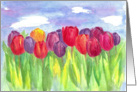 Happy Birthday Tulip Field Watercolor Fine Art card