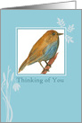 Thinking of You Bluebird Watercolor Plants card