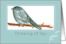 Thinking of You Chickadee Bird Watercolor card