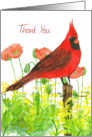 Thank You Cardinal Bird Poppies Watercolor card