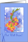 Get Well Soon Pink Gladiolus Flowers Blue card