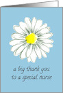 Thank You Nurse Shasta Daisy Flower Blue card