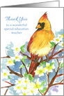 Thank You Special Education Teacher Cardinal Bird card