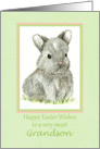 Happy Easter Grandson Grey Bunny Rabbit Drawing card