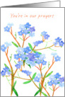 You’re In Our Prayers Thinking of You Forget Me Not card