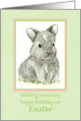 Happy Birthday on Easter Gray Bunny Rabbit card