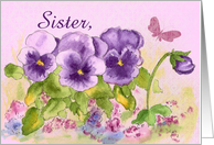 Happy Birthday Sister Butterfly Purple Pansy card