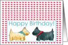 Happy Birthday Scottie Dogs Red Hearts card