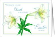 Happy Easter Aunt White Lily Flower Drawing card