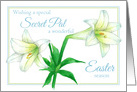 Happy Easter Secret Pal White Lily Flower card