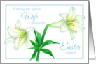 Happy Easter Wife White Lily Flower Drawing card
