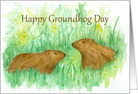 Happy Groundhog Day Woodchuck Watercolor Art card