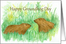 Happy Groundhog Day Woodchuck Watercolor Art card
