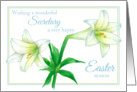 Happy Easter Secretary White Lily Flower Art card