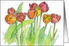 Happy Birthday Tulip Fine Art Watercolor Painting card