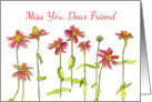 Miss You Dear Friend Red Zinnia Flower Watercolor card