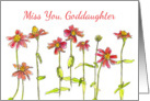 Miss You Goddaughter Red Zinnia Flower Watercolor card