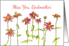 Miss You Godmother Red Zinnia Flower Watercolor card