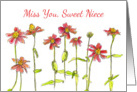 Miss You Niece Red Zinnia Flower Watercolor card
