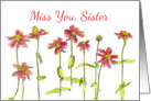 Miss You Sister Red Zinnia Flower Watercolor card