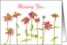 Missing You Red Zinnia Flower Watercolor Art card