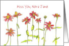 Miss You Custom Name Red Zinnia Flower Watercolor card