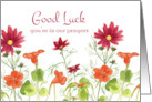 Good Luck You’re In Our Prayers Orange Nasturtium Flowers card