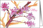 Happy May Day Pink Flower Blossoms Watercolor card