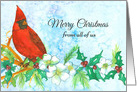 Merry Christmas From All of Us Cardinal Bird card