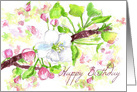 Happy Birthday Spring Apple Blossoms Botanical card
