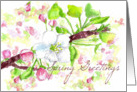 Spring Greetings Apple Blossoms Botanical Illustration card