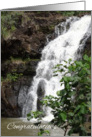 Congratulations Waterfall Photograph Green Foliage card