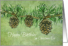 Happy Birthday on Christmas Eve Pinecones card