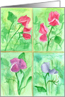 Pink Sweet Pea Watercolor Flowers Blank card