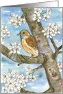 Happy Birthday Sparrow Bird In Tree White Flowers card