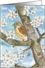 Happy Mother’s Day Sparrow Bird Spring Tree card