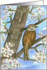 Happy Birthday Sparrow Bird In Tree card